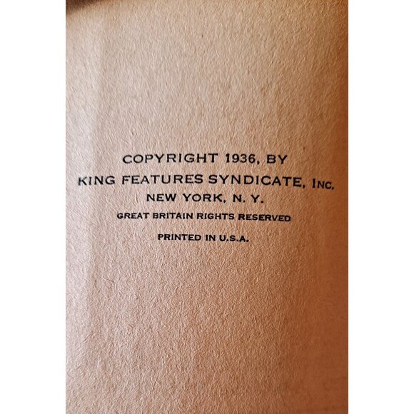 Little Annie Rooney and the Orphan House - Picture 5 of 7